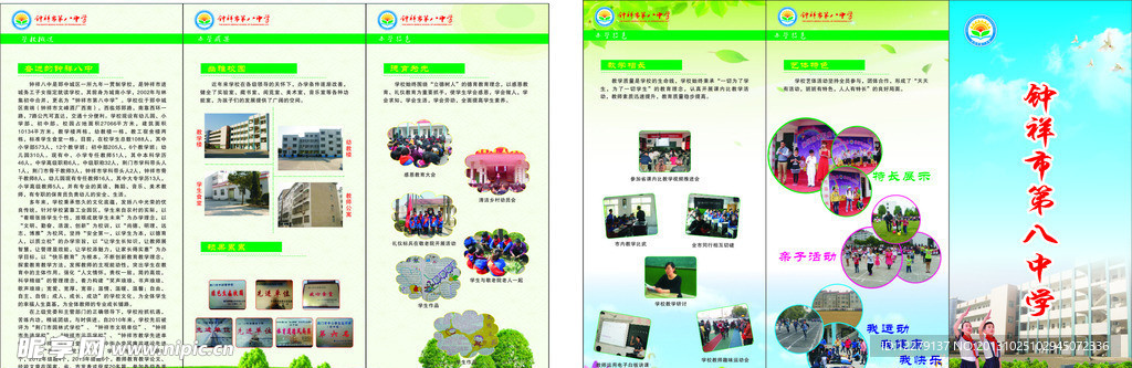 学校折页