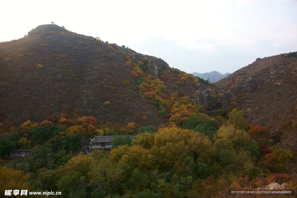 槐树洞山寺