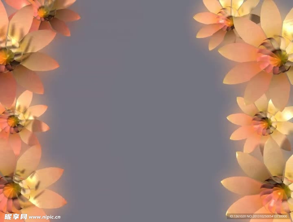 花朵边框视频素材