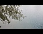 实拍湖水水波视频素材
