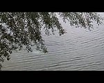 实拍湖水水波视频素材