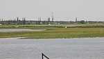 湖水飞鸟实拍视频素材