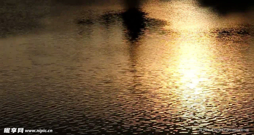 金色湖水波纹视频素材