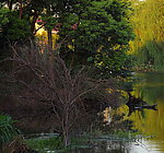 上海农村
