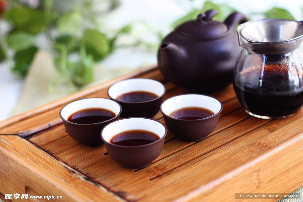 红山茶