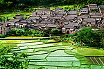 杨池古村