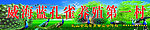 孔雀 村庄