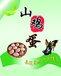 山鸡蛋