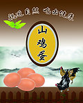 山鸡蛋