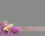 花朵字幕条视频素材