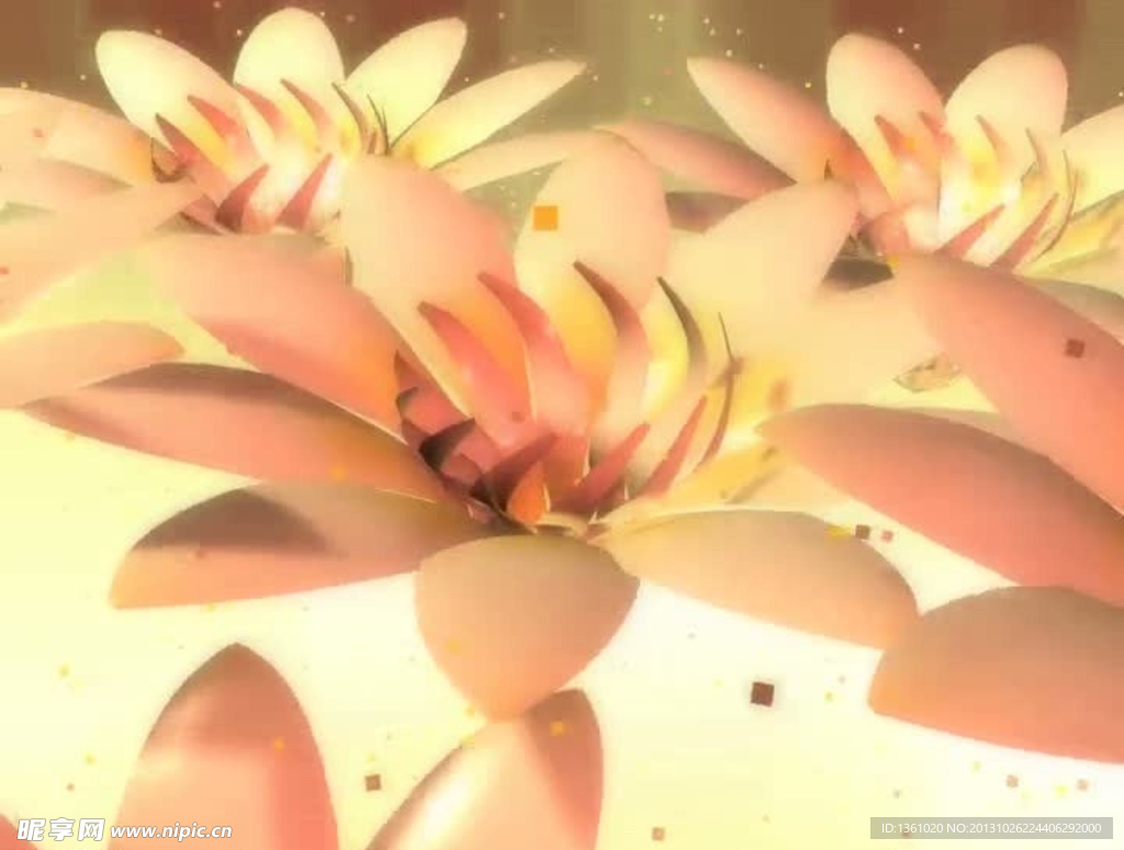 花朵背景视频素材
