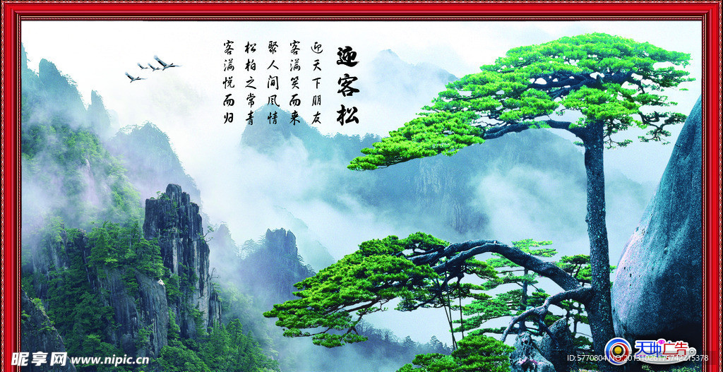 迎客松