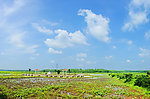 甜心村