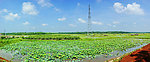 甜心村