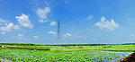 甜心村