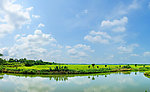 甜心村