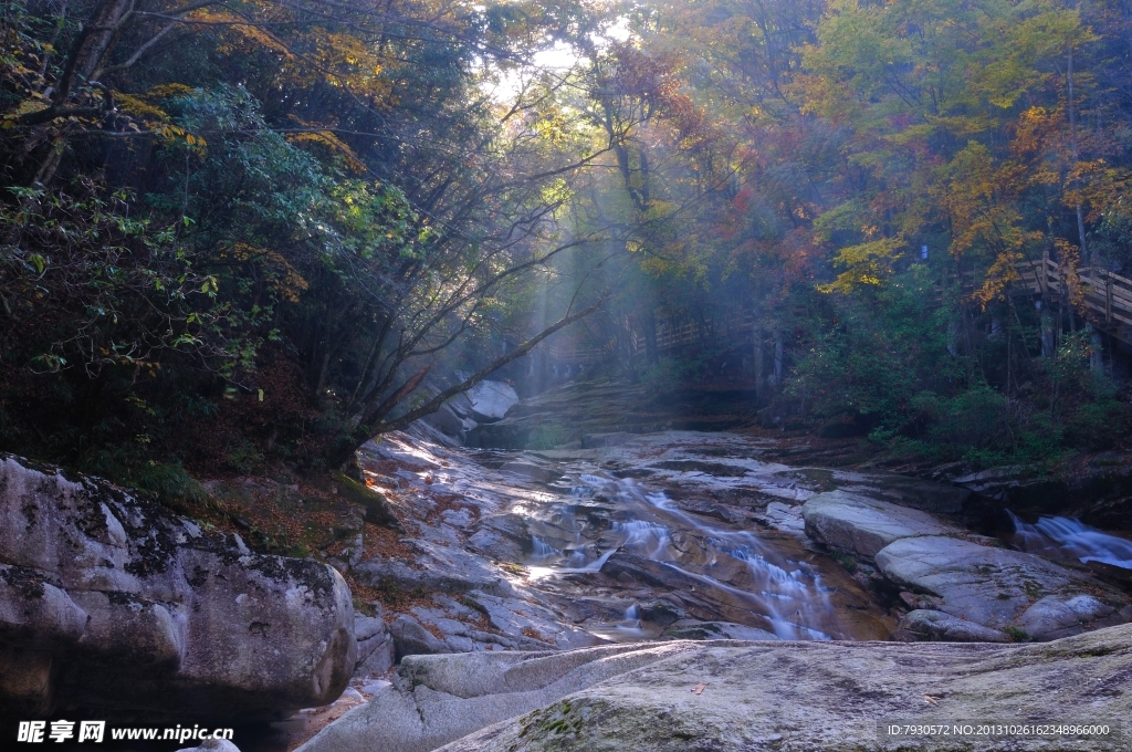 晨光映照溪流