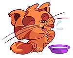 卡通猫
