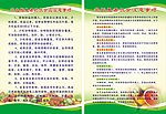教师简介