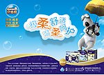 贝肯熊海报