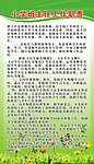 小学班主任工作职责