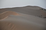 腾格里沙漠 沙坡头