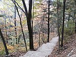 山路