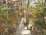 山路