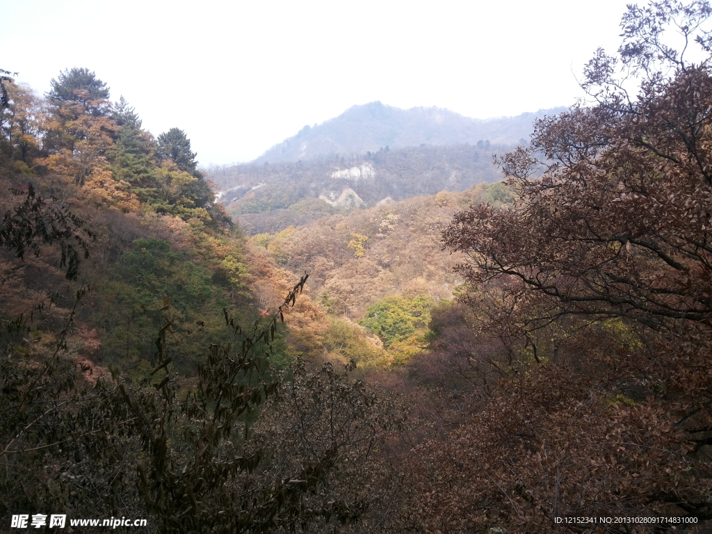 山林