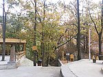 山林
