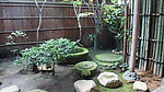 庭院