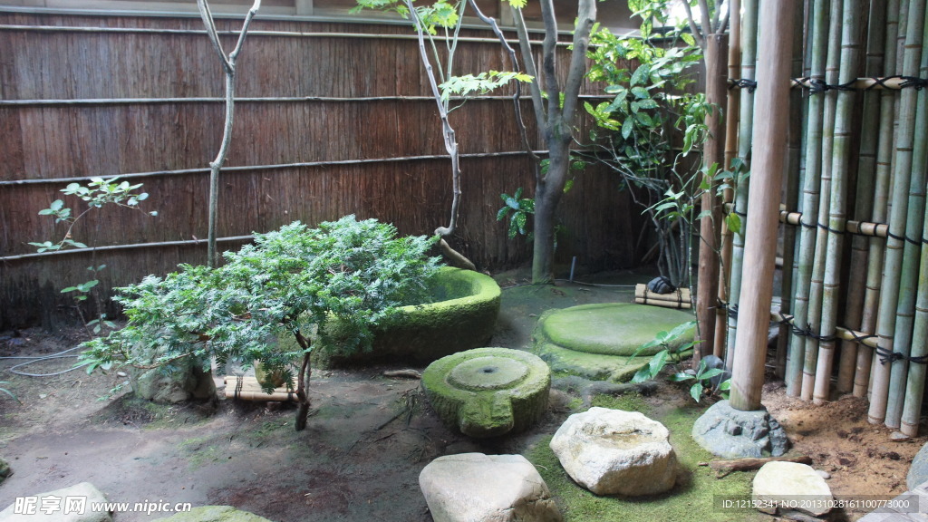 庭院