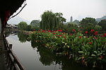丽水古街
