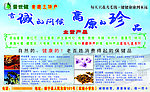 青藏土特产