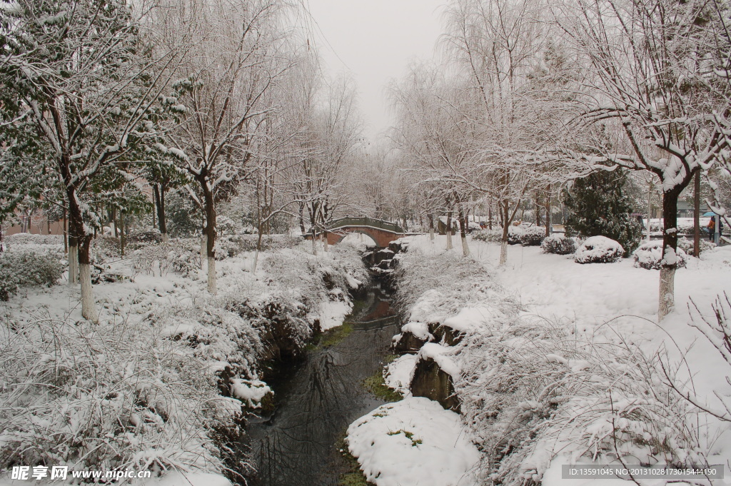 雪景