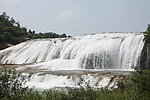 黄果树