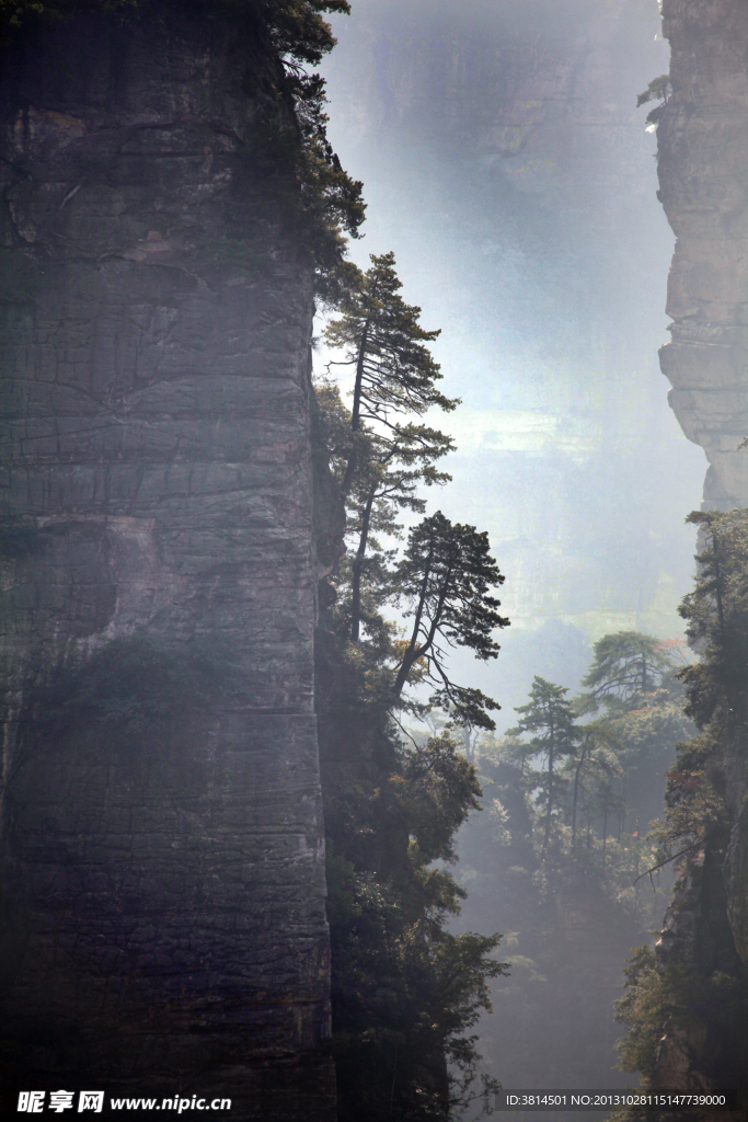 陡峭山峰树剪影