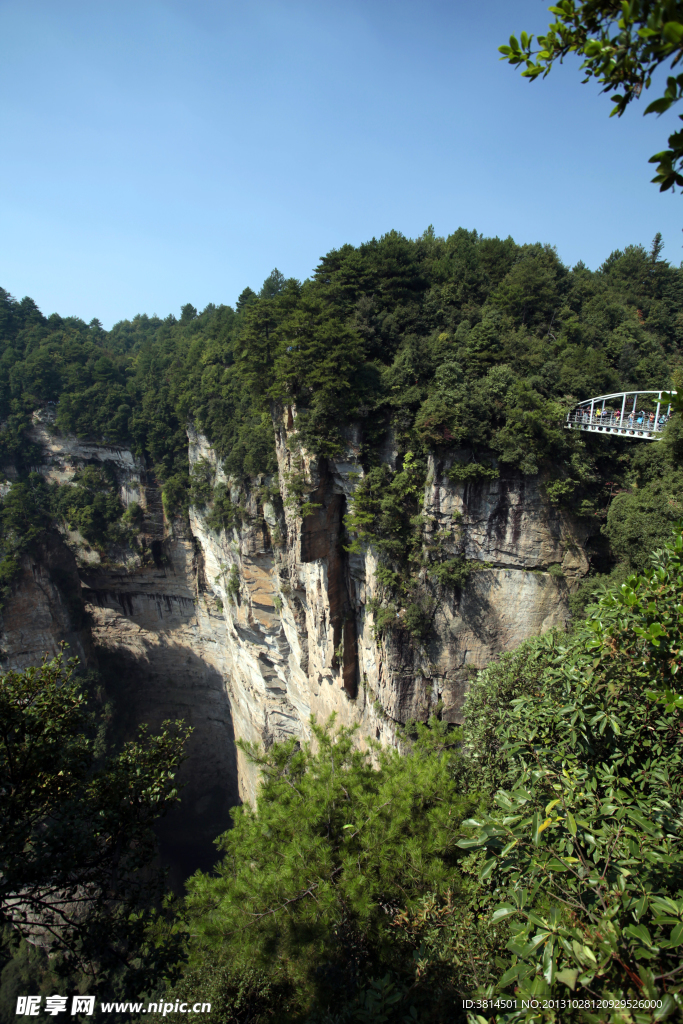 森林白石山