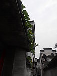 呈坎摄影