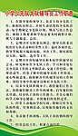 少先队大队辅导员工作