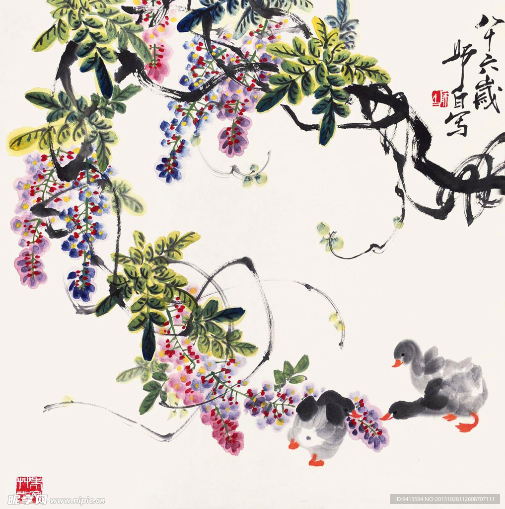 藤萝小鸭