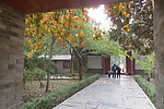 嵩阳书院一景