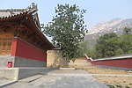 崇福宫风光