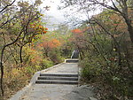 少室山梯子沟景色