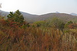 少室山秋色