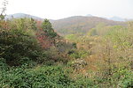 少室山风光