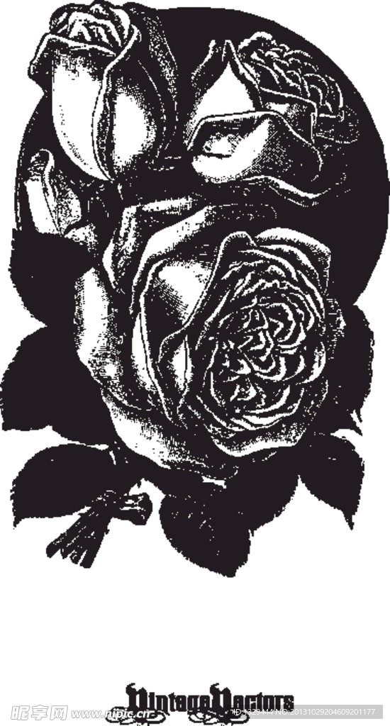 玫瑰花