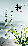 兰花