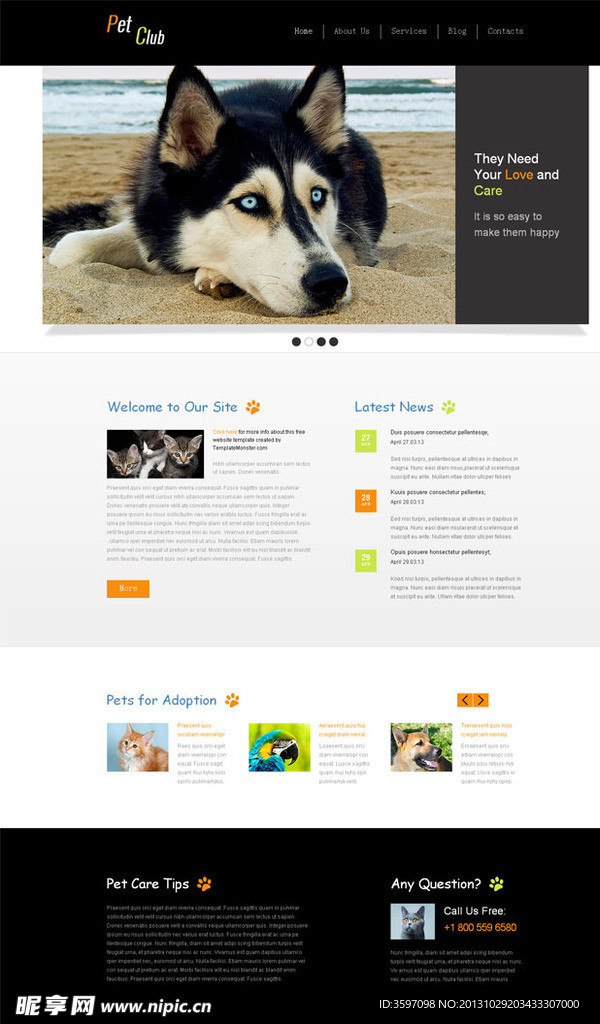 宠物饲养网站模板