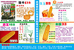 玉米广告
